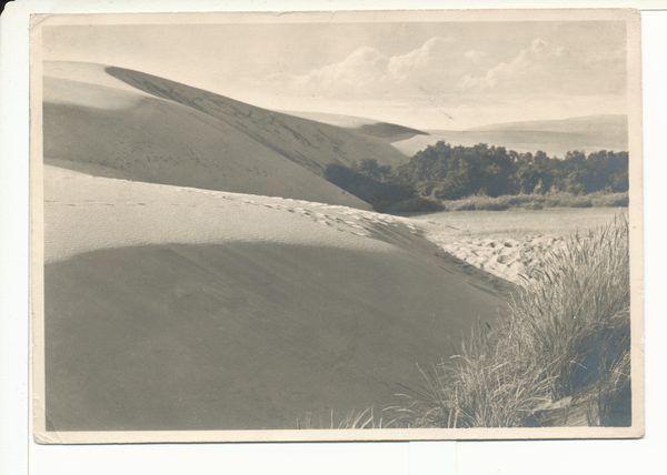 Rossitten Kr. Samland, Wanderdünen