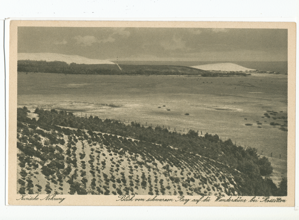 Rossitten Kr. Samland, Blick vom Schwarzen Berg auf die Wanderdüne