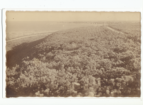 Rossitten Kr. Samland, Blick vom Schwarzen Berg (??), Ortsansicht