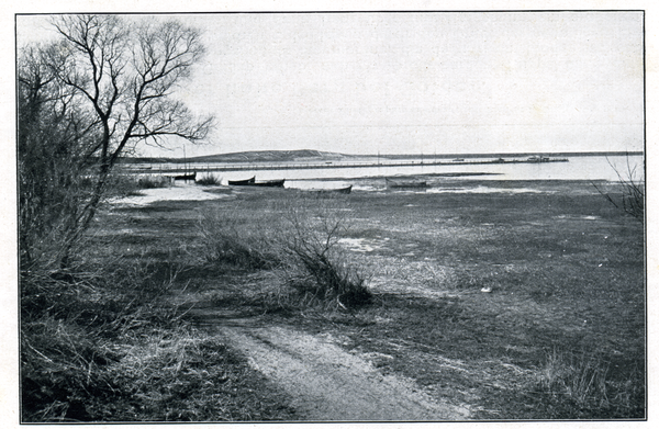 Rossitten Kr. Samland, Blick auf die Mole und den Schwarzen Berg