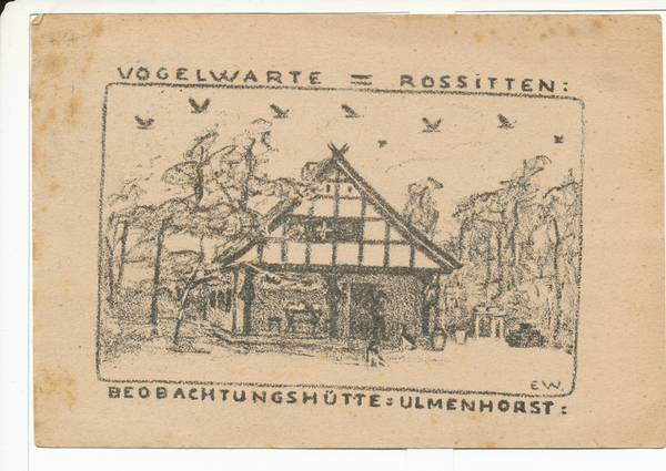 Rossitten Kr. Samland, Vogelwarte, Beobachtungshütte Ulmenhorst, Zeichnung