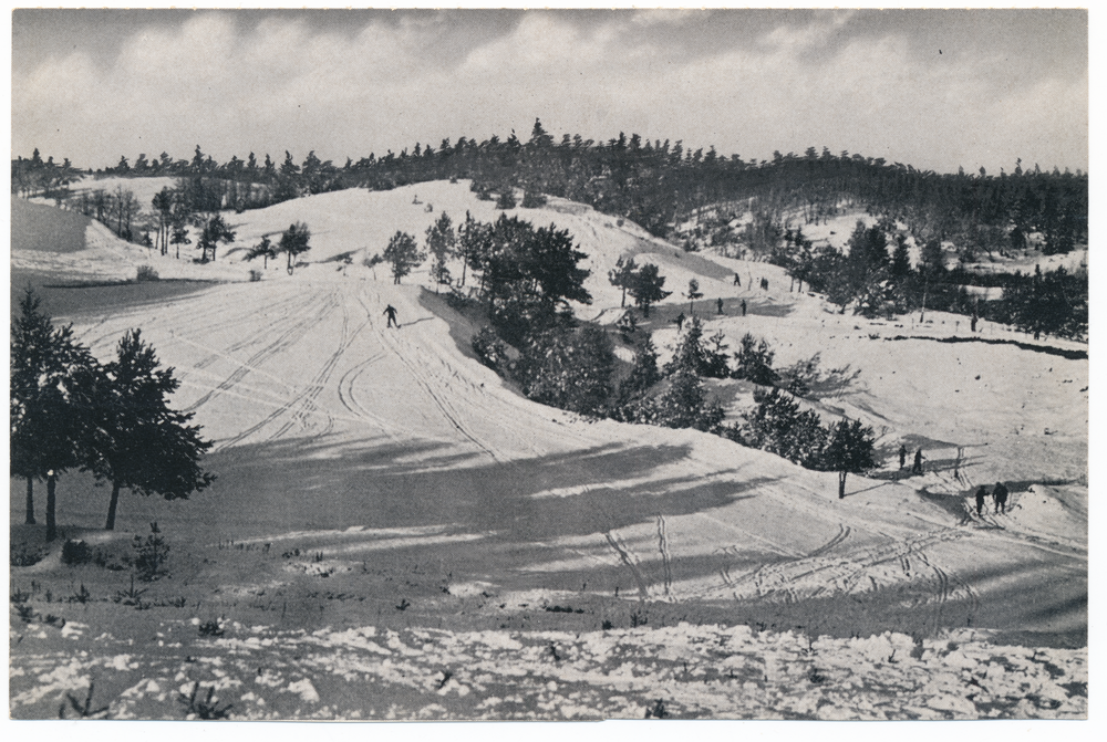 Galtgarben (Berg), Skigelände