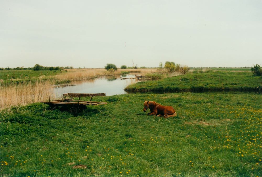 Schönwiese, Idyll an der Alten Gilge