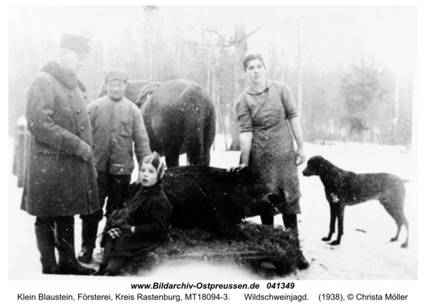 Klein Blaustein, Wildschweinjagd