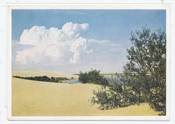 Kurische Nehrung, Dünen