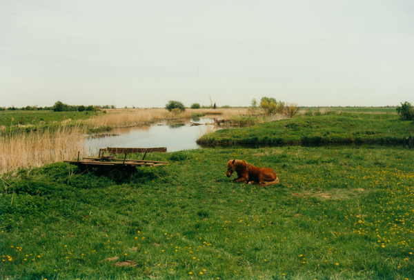 Schönwiese, Idyll an der Alten Gilge