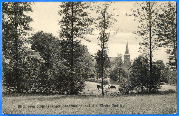Juditten Kr. Königsberg, Blick vom Königsberger Stadtwald auf die Kirche