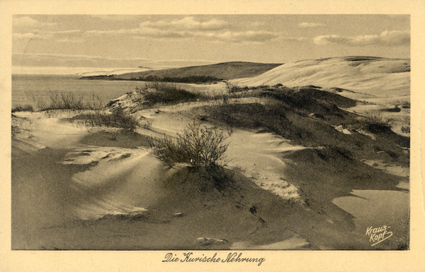 Kurische Nehrung, Dünen