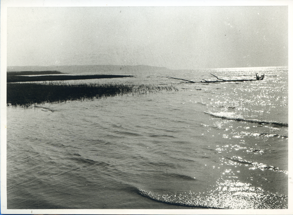 Frauenburg, Das Frische Haff bei Frauenburg