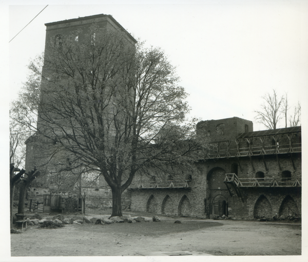 Frauenburg, Kopernikusturm