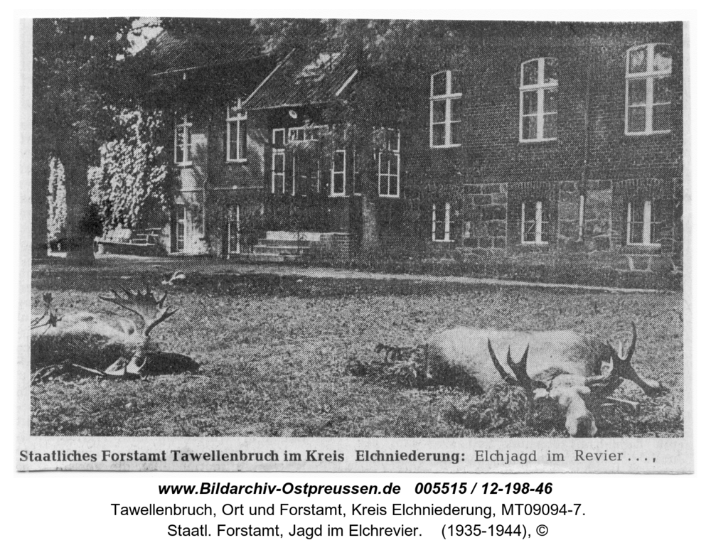 Tawellenbruch,  Staatl. Forstamt, Jagd im Elchrevier