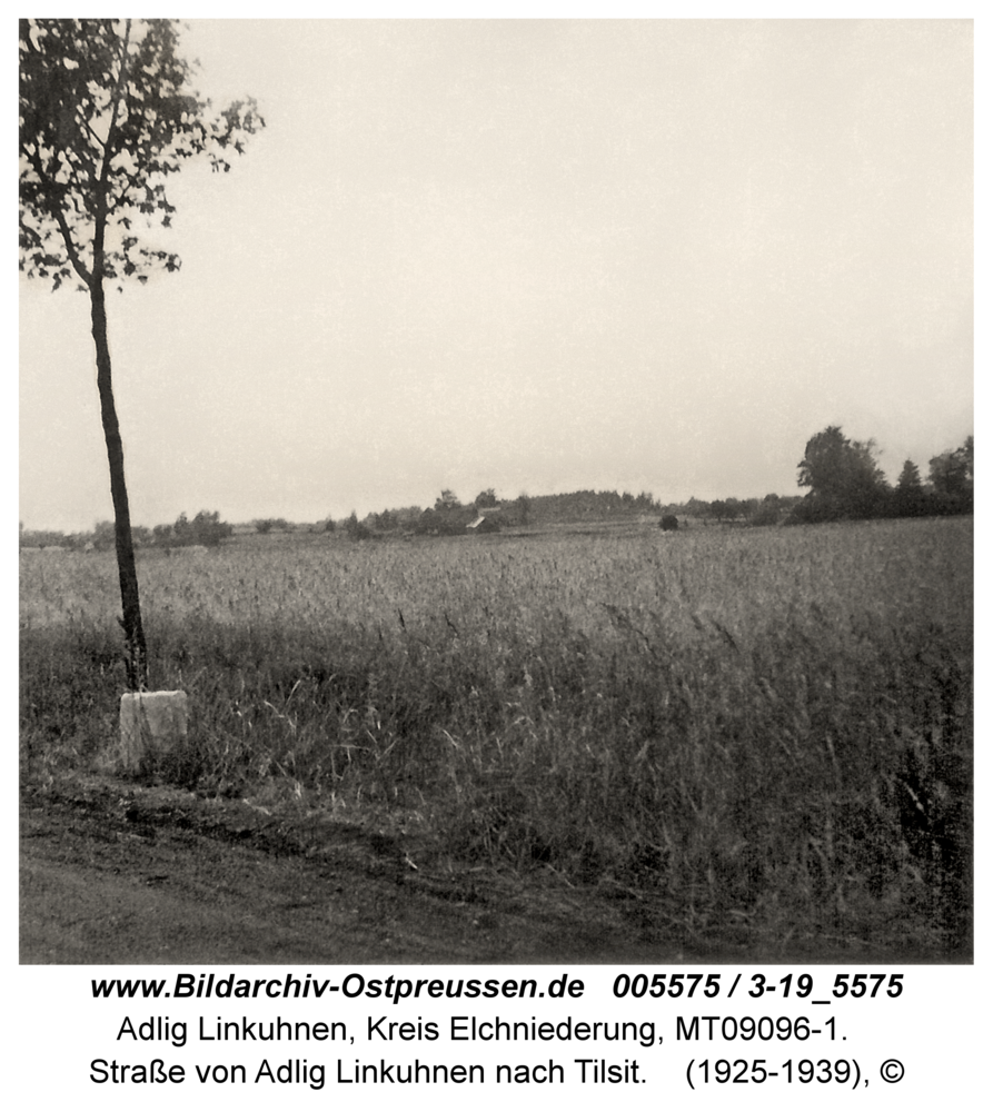 Adlig Linkuhnen, Straße von Adlig Linkuhnen nach Tilsit