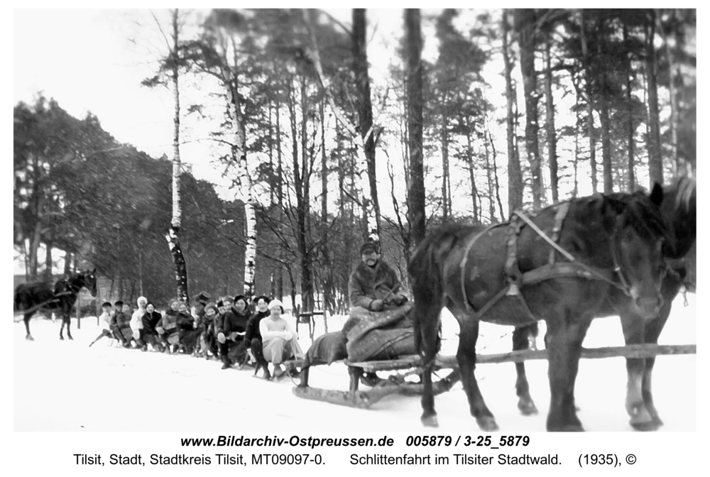 Tilsit, Schlittenfahrt im Tilsiter Stadtwald