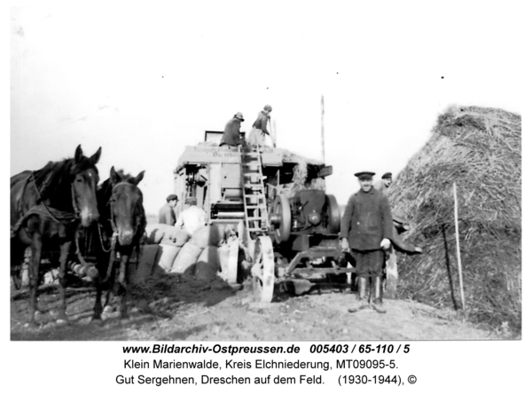 Klein Marienwalde, Gut Sergehnen, Dreschen auf dem Feld