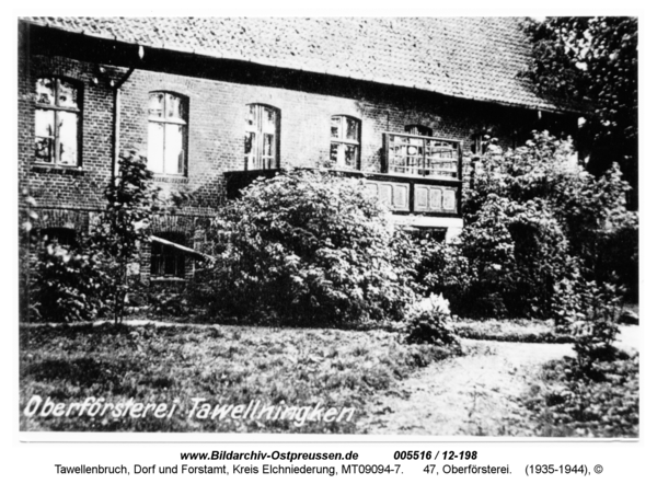 Tawellenbruch, 47, Oberförsterei