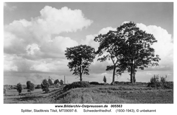Tilsit-Splitter, Schwedenfriedhof