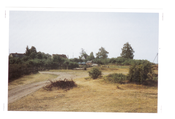 Schwedenfeld, Blick vom Birkenweg zur Hasenheide