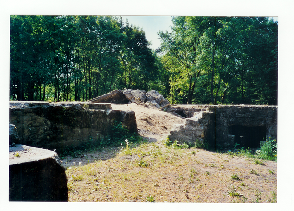 Tilsit, Waldfriedhof, Reste des Krematoriums
