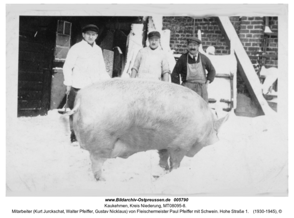 Kaukehmen, Mitarbeiter (Kurt Jurckschat, Walter Pfeiffer, Gustav Nicklaus) von Fleischermeister Paul Pfeiffer mit Schwein. Hohe Straße 1