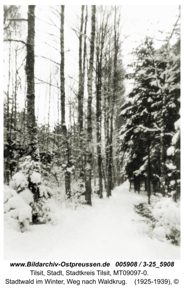 Tilsit, Stadtwald im Winter, Weg nach Waldkrug