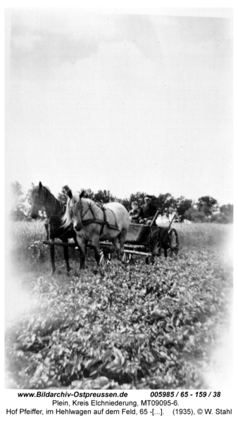 Plein, Hof Pfeiffer, im Hehlwagen auf dem Feld, 65 - 159 / 38