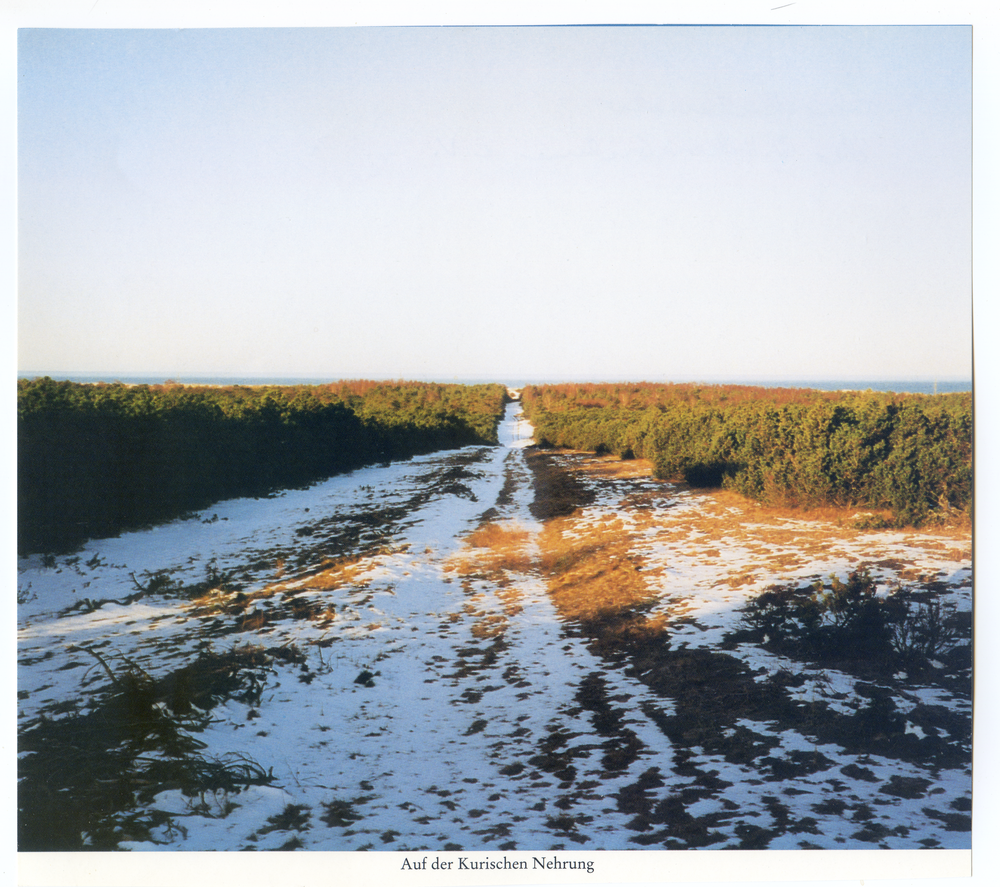 Kurische Nehrung, Winter