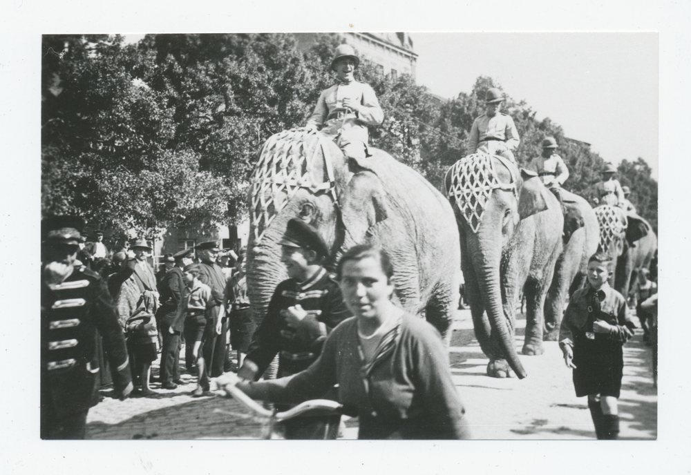 Tilsit, Zirkus Krone in Tilsit, Werbeumzug