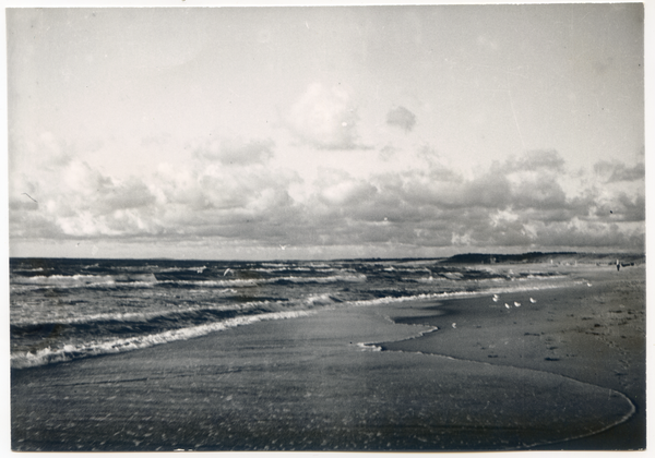 Frische Nehrung, Strand