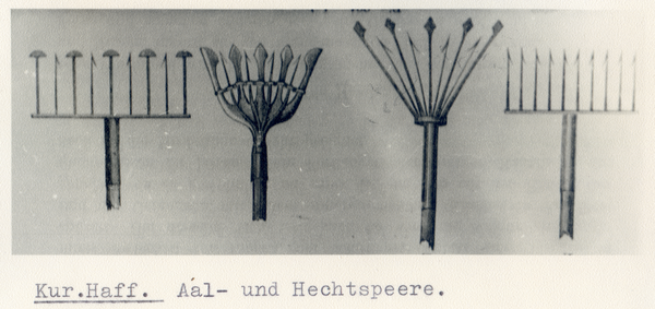 Kurisches Haff, Aal- und Hechtspeere