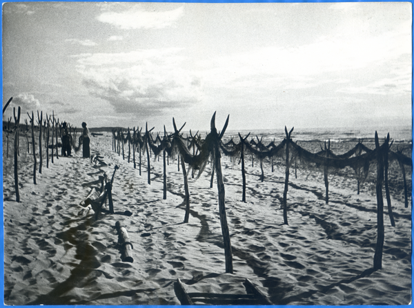 Kurische Nehrung, Netze am Strand bei Rossitten