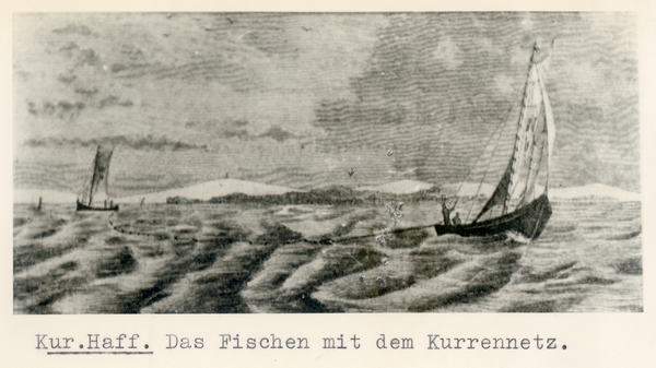 Kurisches Haff, Das Fischen mit dem Kurrennetz