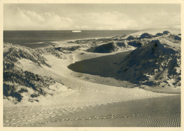 Kurische Nehrung, Dünenhang am Kurischen Haff