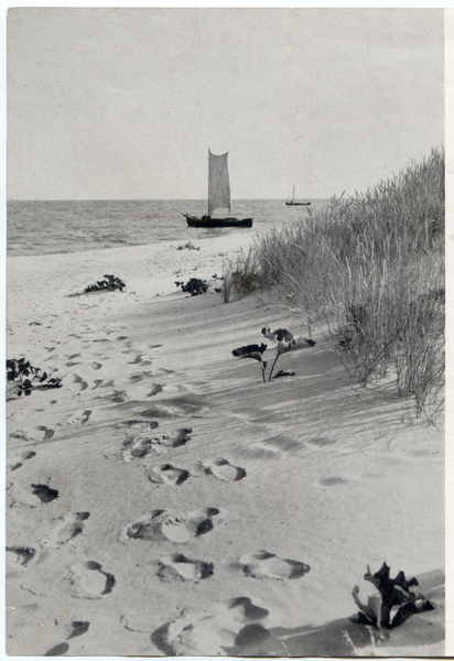 Kurisches Haff, Spuren im Dünensand