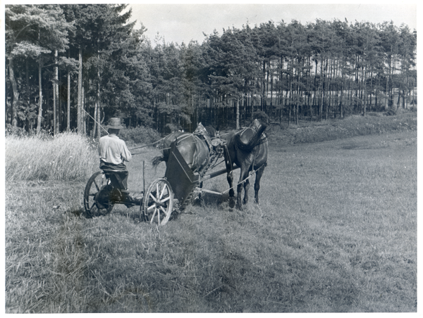 Kurische Nehrung, Ernte