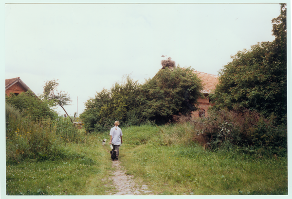 Mulden Kr. Gerdauen (Перевалово), Ehemaliges Anwesen Mühle Voß