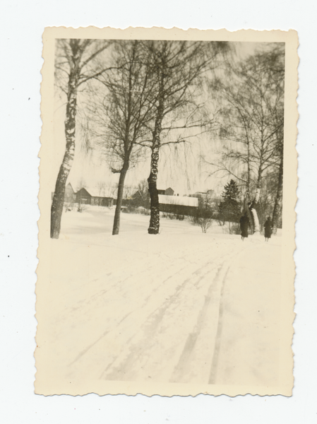 Lyck, Winterlandschaft, Weg zum Bauernhof