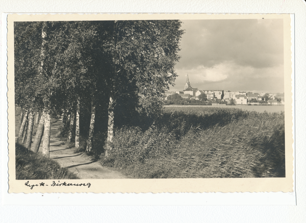 Lyck, Birkenweg mit Blick auf die Stadt