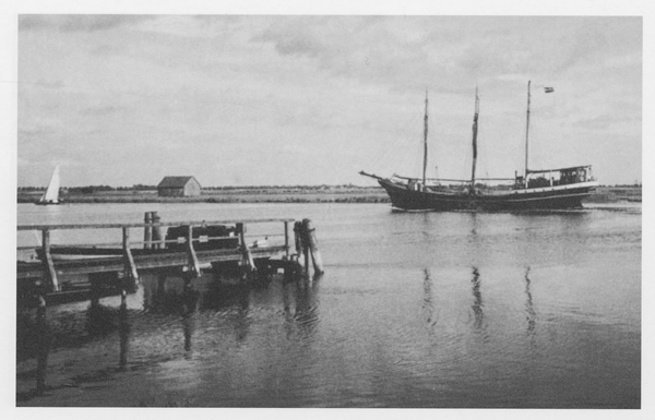 Pregel bei Groß Holstein