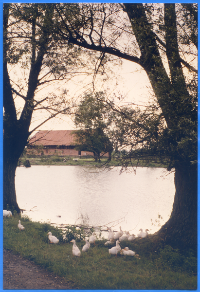 Groß Rautenberg, Dorfidylle