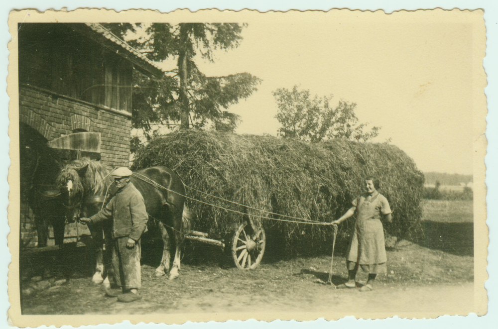 Großastrau, Erntewagen auf dem Gehöft Karl und Anna Teppner