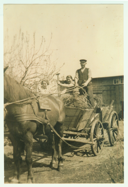 Trammen, Heuernte Hof Lawischus