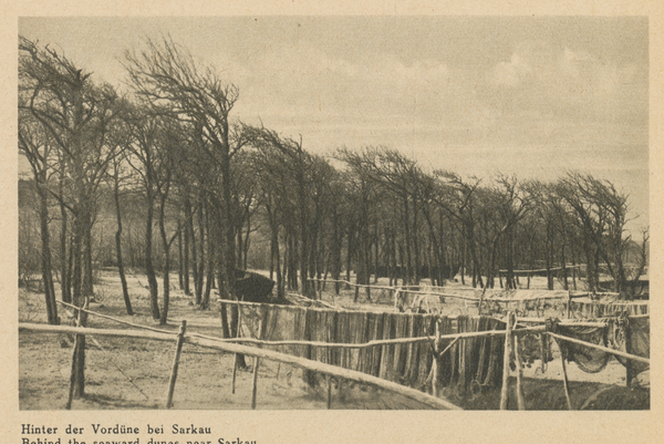 Sarkau, Hinter der Vordüne bei Sarkau