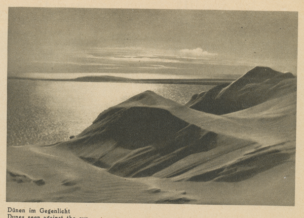 Kurische Nehrung, Dünen im Gegenlicht