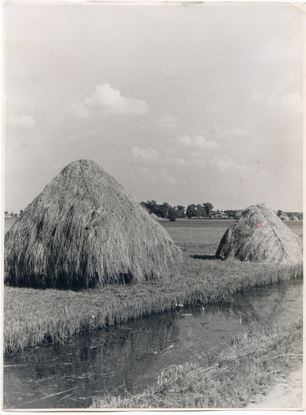 Gilge, Haffwiesen und Moorlandschaft bei Gilge