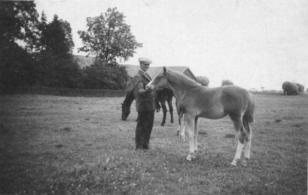 Hohenwiese, Emil Eckert auf der Pferdekoppel