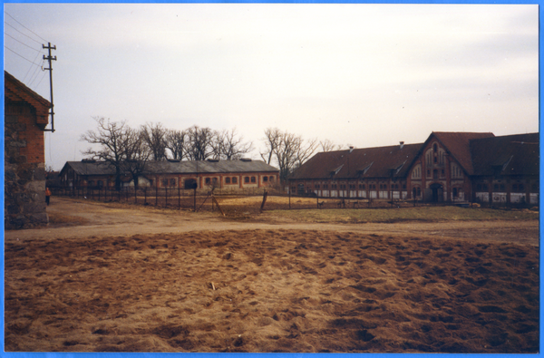 Georgenburg, Gestüt