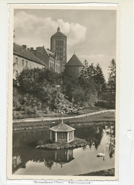 Braunsberg, Schwanenteich, Blick auf Kirche und Pulverturm