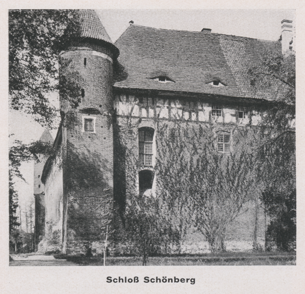 Schönberg Kr. Rosenberg, Schloß, Südseite