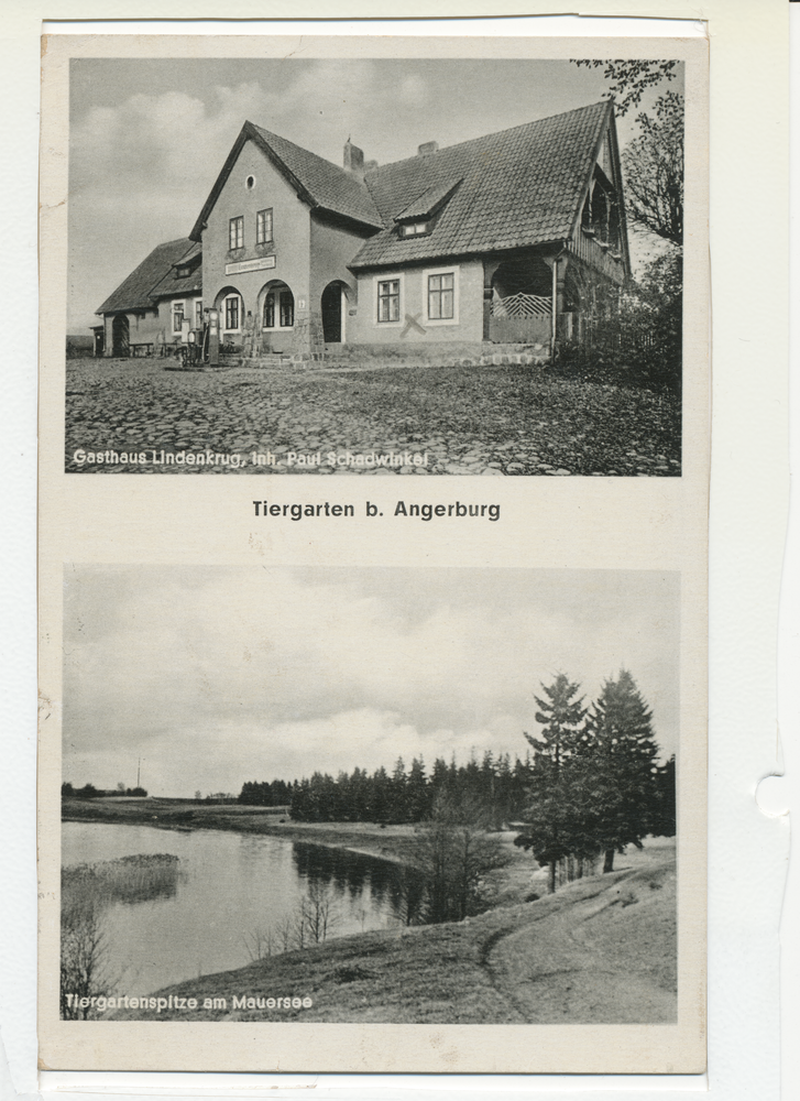 Thiergarten, Gasthaus Lindenkrug, Thiergartenspitze am Mauersee