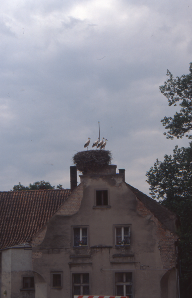 Ostpreußen, Hausgiebel mit Storchennest, wo??